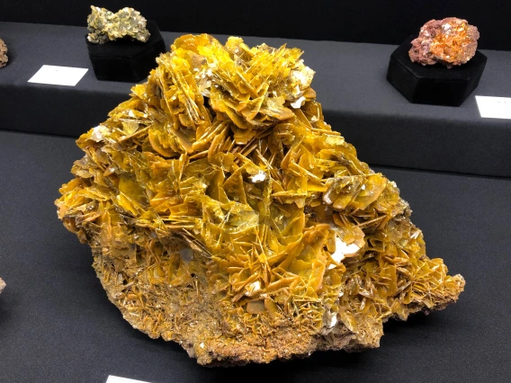 Wulfenite