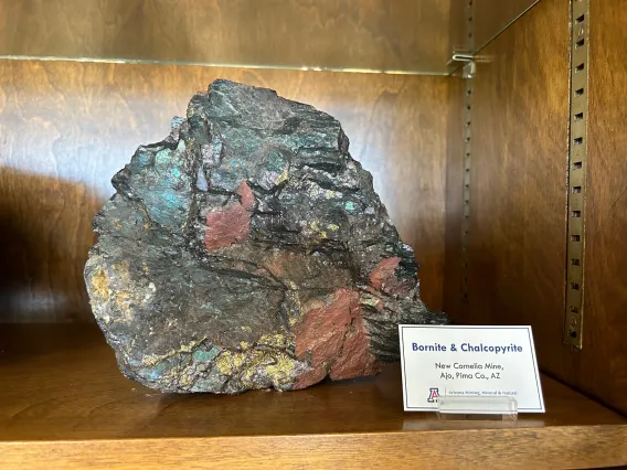 Specimen of bornite and chalcopyrite in case.