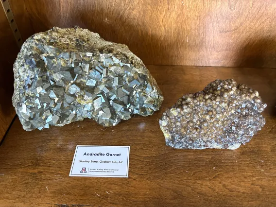 Specimens of andradite garnet in case.