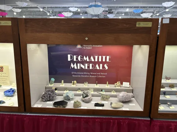 2024 Tucson Gem and Mineral Show