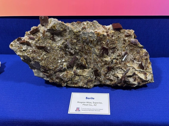 2025 Denver Gem and Mineral Show