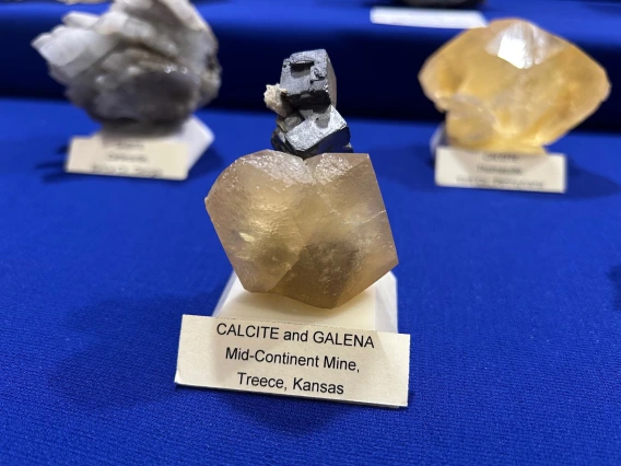 2025 Denver Gem and Mineral Show