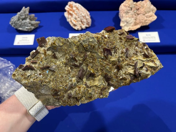2025 Denver Gem and Mineral Show