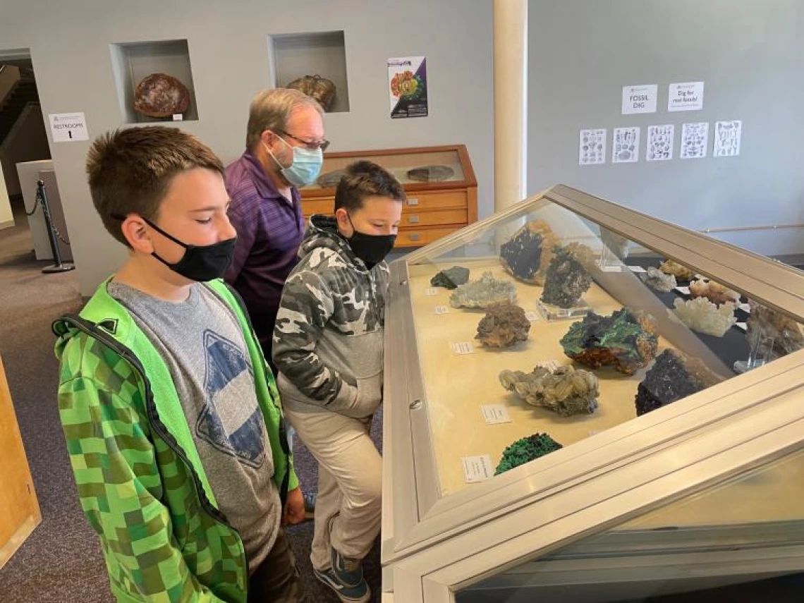 Visitors enjoying the mineral displays.