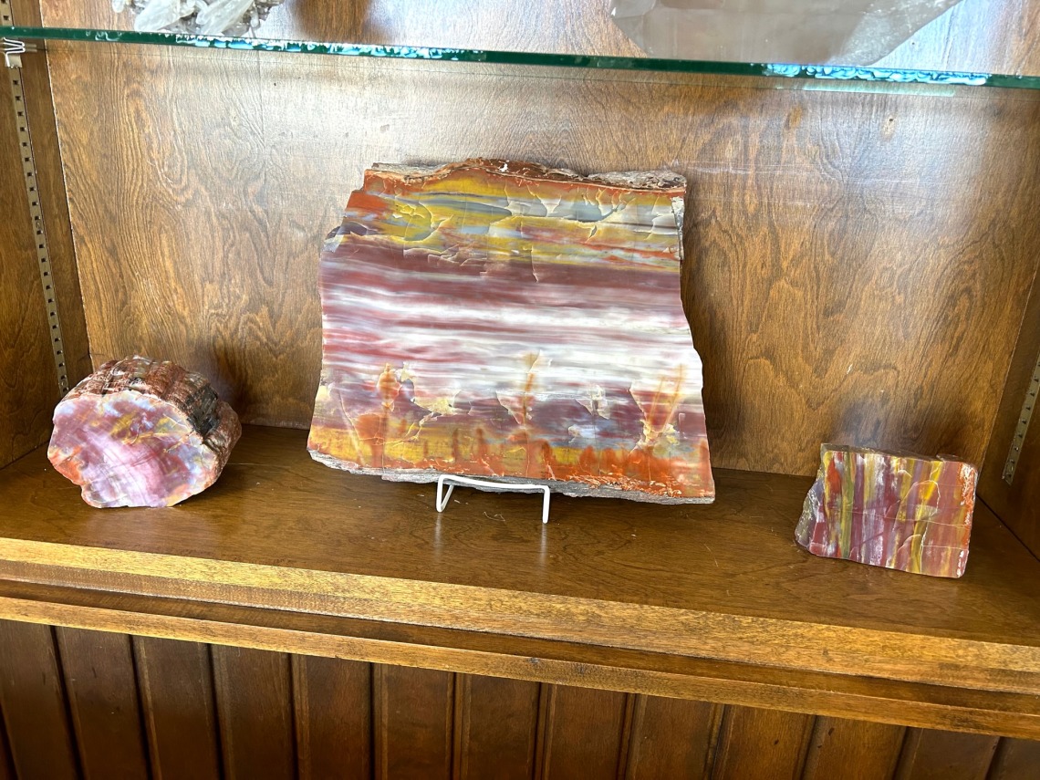 Specimens of petrified wood in case.