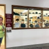 New exhibit at the Sun City Mineral Museum.